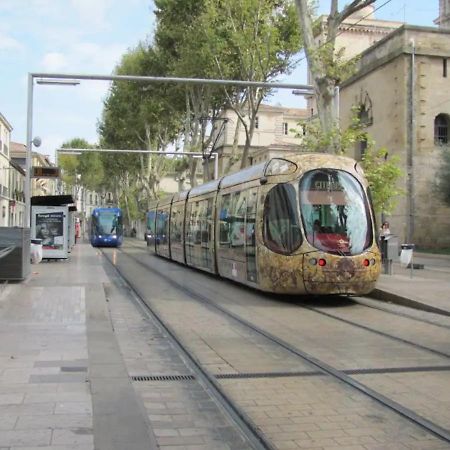 Magnifique 2 Pieces - Plein Centre - Tram 1 Min Apartment Montpellier Bagian luar foto